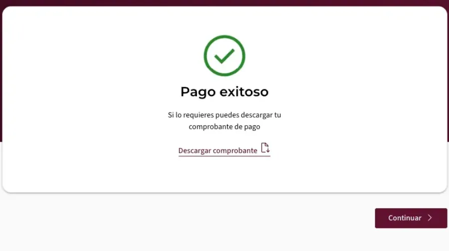 Imagem pagamento realizado com sucesso visto mexico